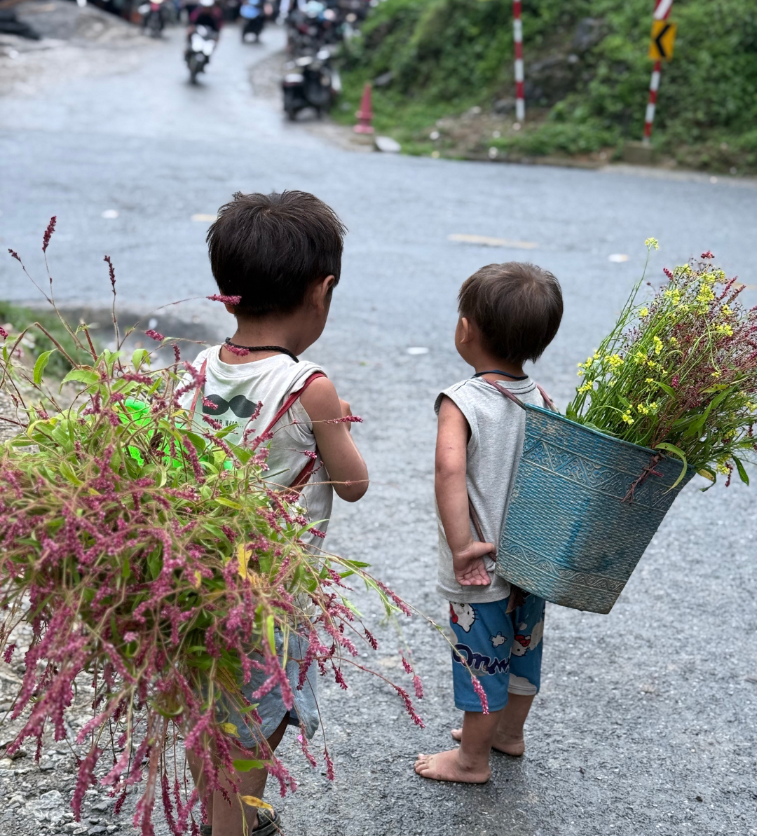 Sustainability initiatives